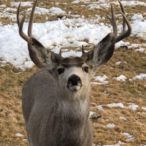 Meet your Posher, Sandy